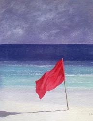 Strandvlag - Stormwaarschuwing